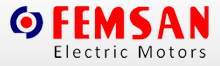 Femsan logo